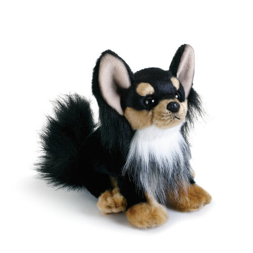 Black white and brown beanbag Chihuahua stuffed animal for kids 