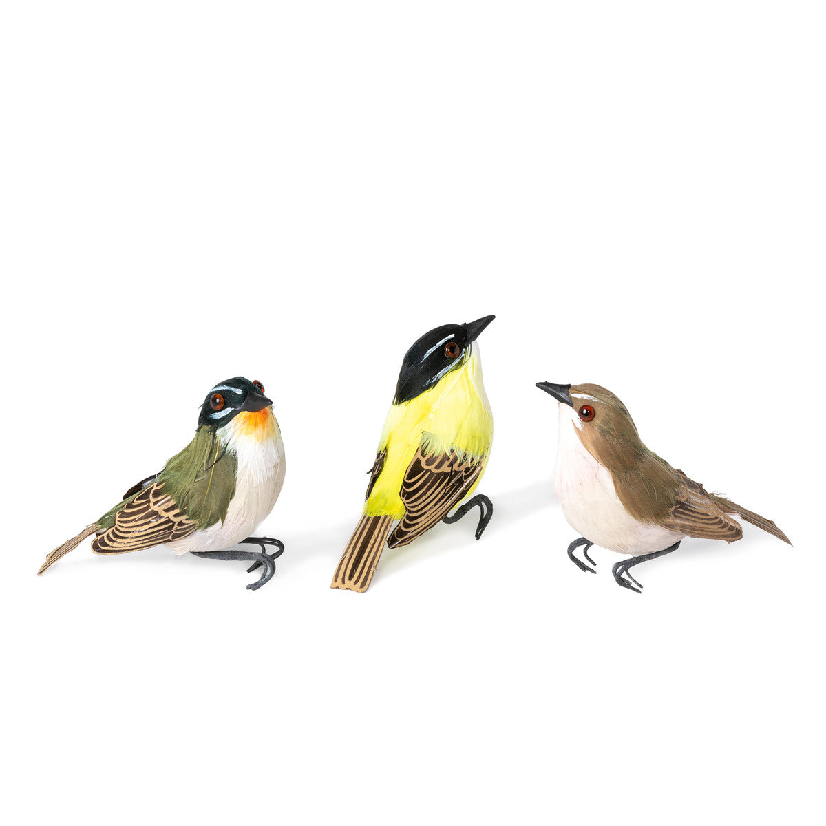 This lifelike feathered songbird is perfect for seasonal decor and display.  3 Assorted styles