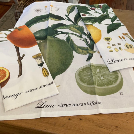 Botanical Fruits Tea Towels (set of 3)